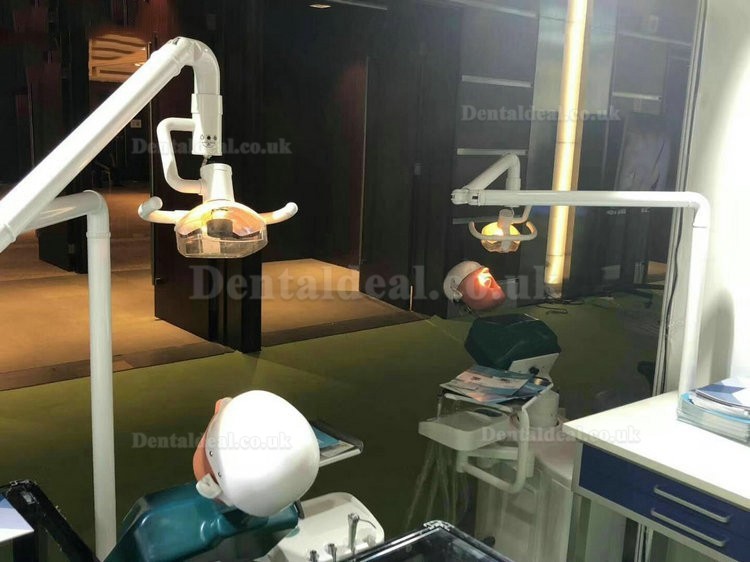 Jingle JG-A1 Phantom Head For Dental Students Dental Patient Simulation Unit